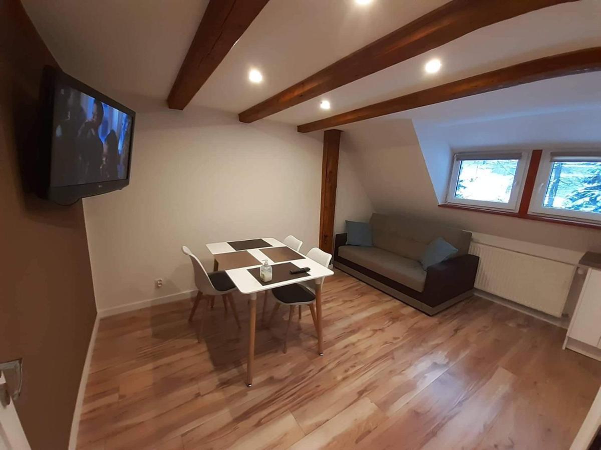 Apartamenty Przy Swierku シクラルスカ・ポレンバ エクステリア 写真
